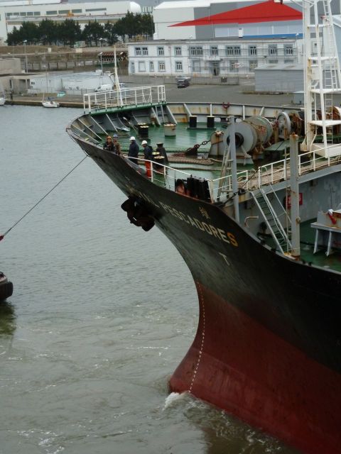 bulberoyalpescadores (02).JPG